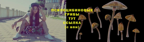 apvp Арсеньев