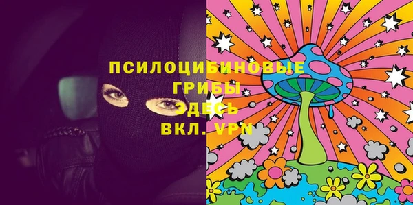 apvp Арсеньев