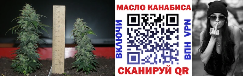 ТГК гашишное масло  купить наркотик  Армянск 